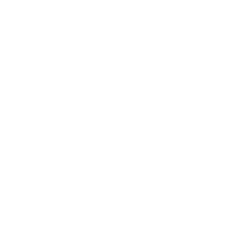 PUA_UniversityLOGO_Reversed_FIN
