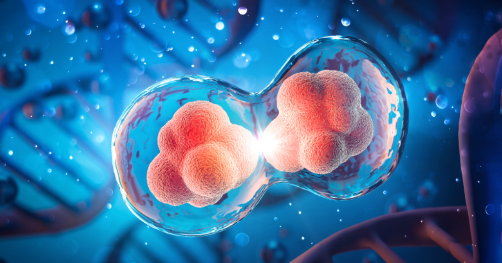 Digital render of cells splitting