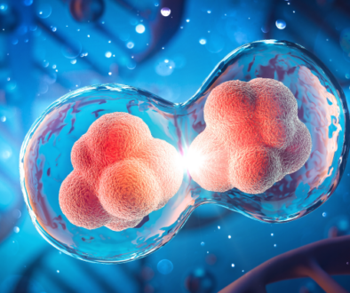 Digital render of cells splitting