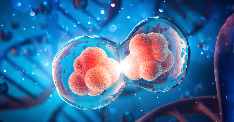 Digital render of cells splitting