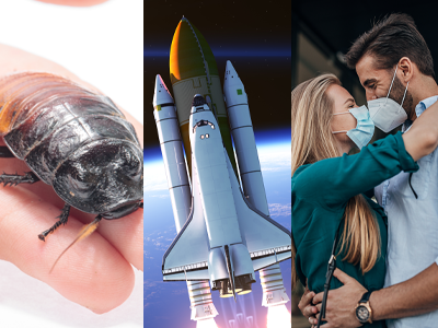 NSM Announces Incredible New Specialty Lines