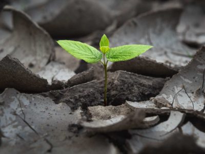 Webinar recording: Business continuity planning for nonprofits – 5 steps to build resilience