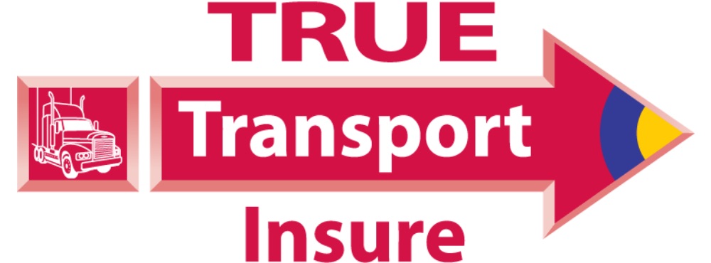 NSM-our-story-true-transport-logo-500x185@2x TTI logo
