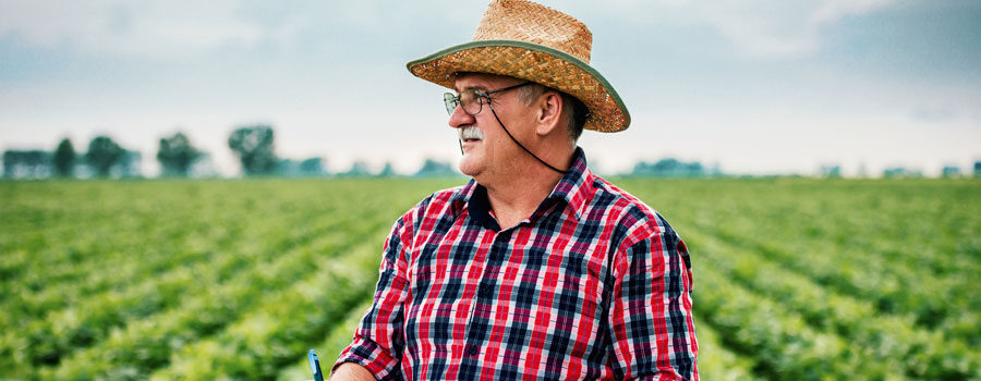 farmer looking out at crops